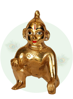 Laddu Gopal Idols